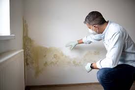 Best Mold Remediation for Healthcare Facilities  in Medical Lake, WA